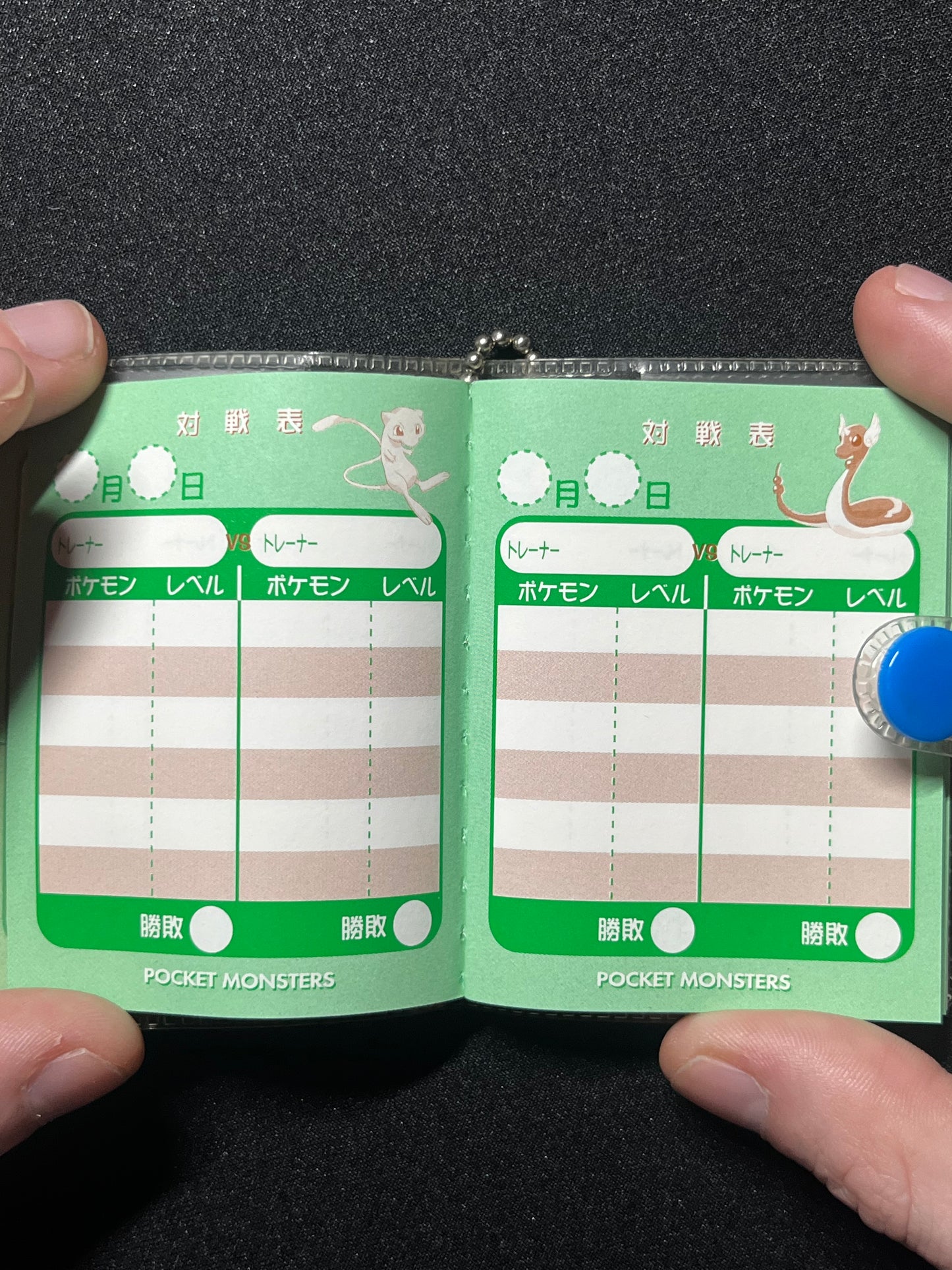 Pocket Monsters Mini Book